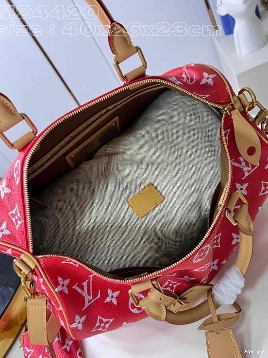 40 SPEEDY Louis Vuitton 0709